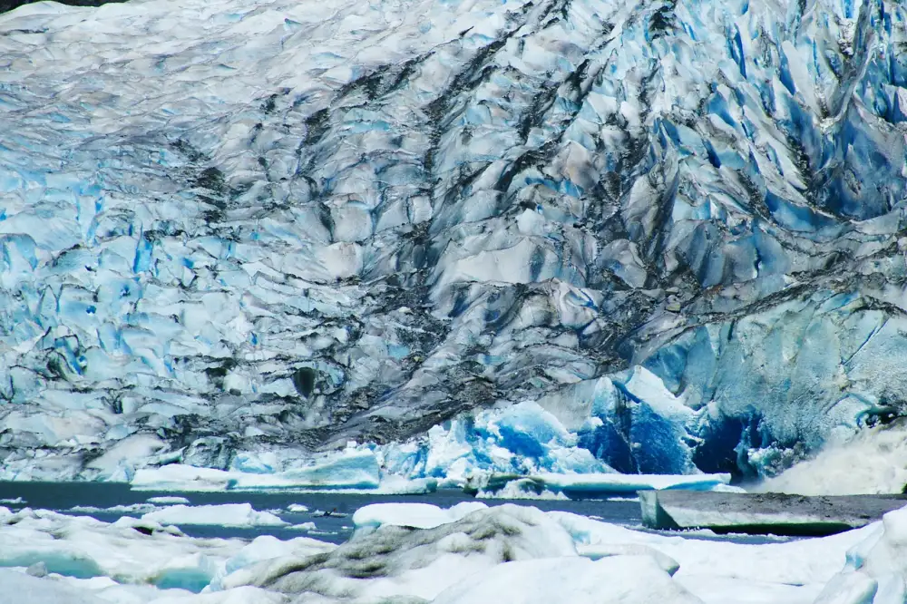 Black Wolf Pre Workout Review