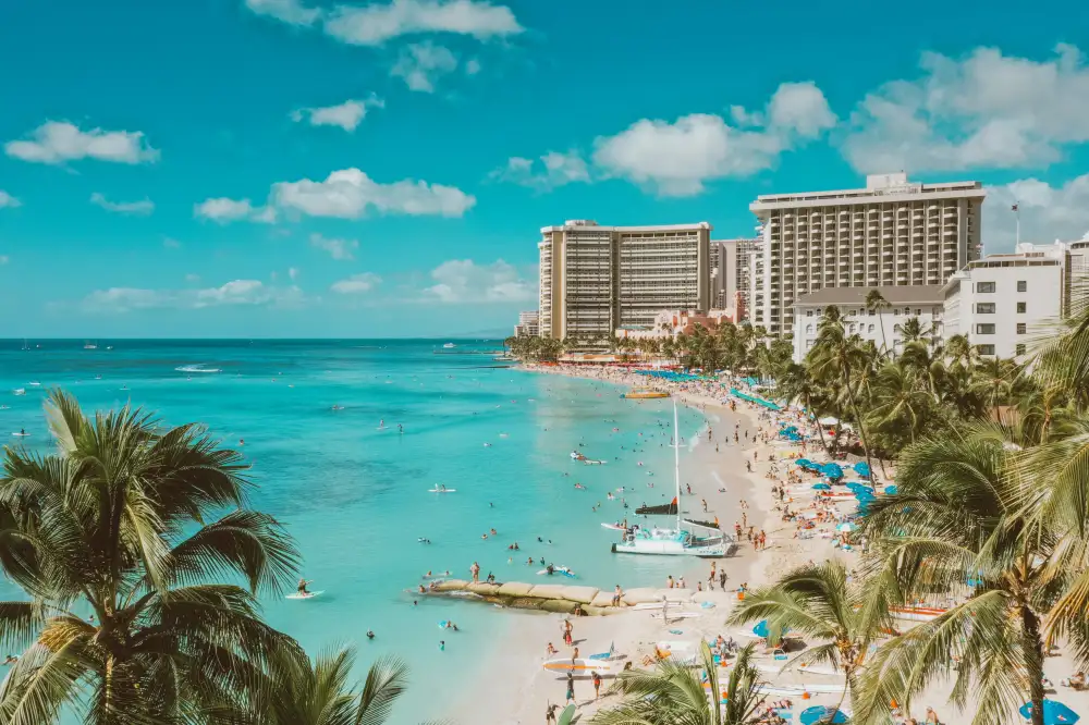 Dr.beer West Palm Beach