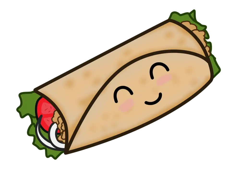 Chicken Burrito Recipe